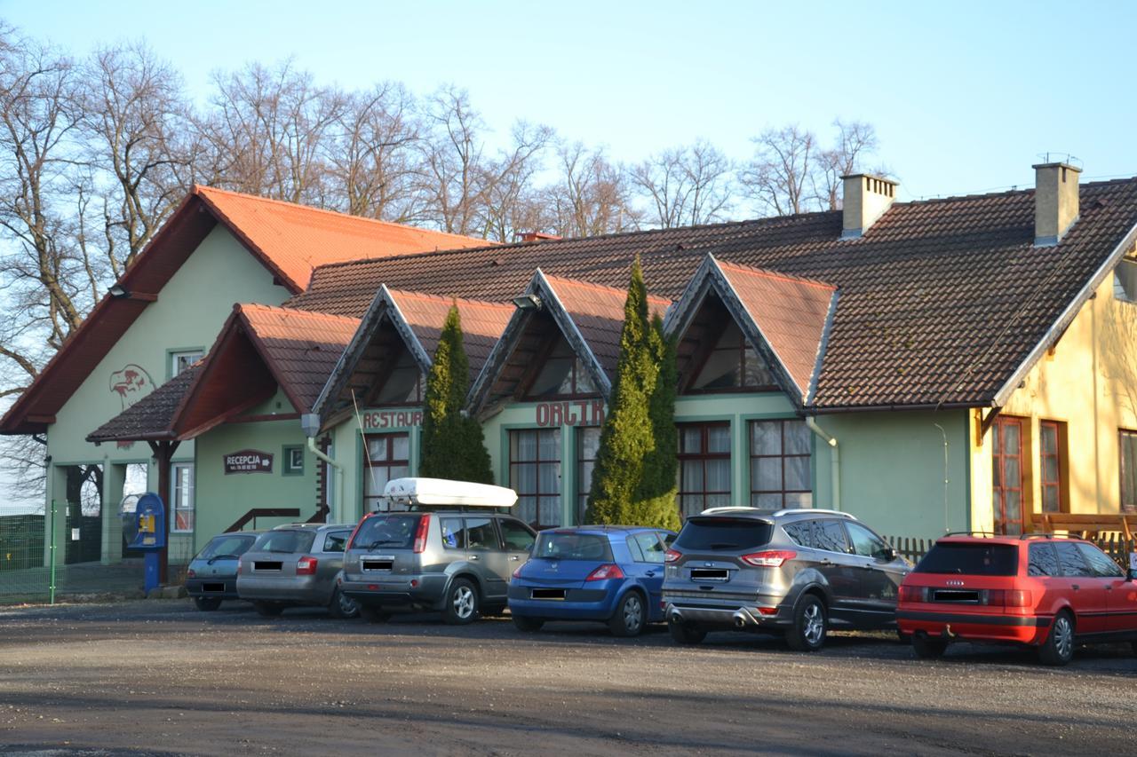 Hotelik Orlik Legnickie Pole Екстериор снимка